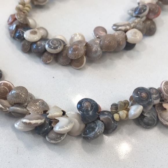 Shell necklace, 34” - Picture 2 of 2